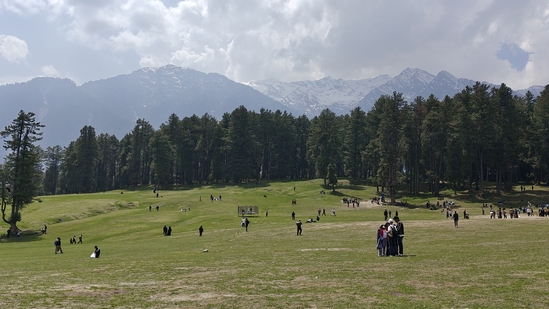 MLA Mehraj Malik expressed his grief over the Pahalgam terror attack. He spoke about Pakistan's involvement, the impact on the region's tourism, and the need for stronger responses.